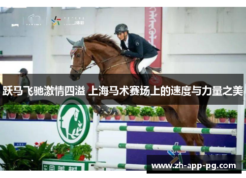 跃马飞驰激情四溢 上海马术赛场上的速度与力量之美