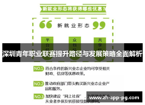 深圳青年职业联赛提升路径与发展策略全面解析