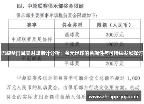 巴黎圣日耳曼财政审计分析：金元足球的合规性与可持续发展探讨