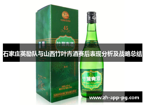 石家庄英励队与山西竹叶青酒赛后表现分析及战略总结